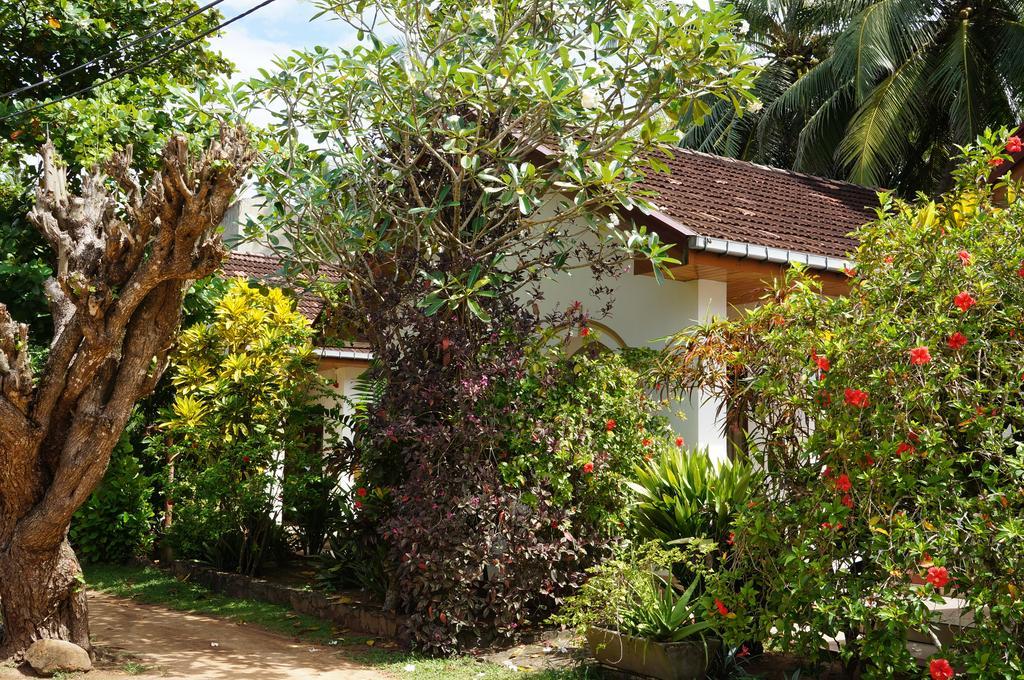 Tandem Guesthouse 히카두와 외부 사진