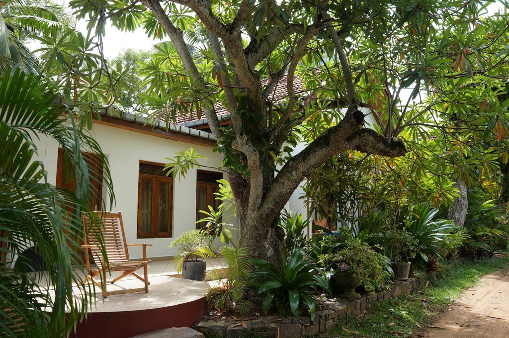 Tandem Guesthouse 히카두와 외부 사진