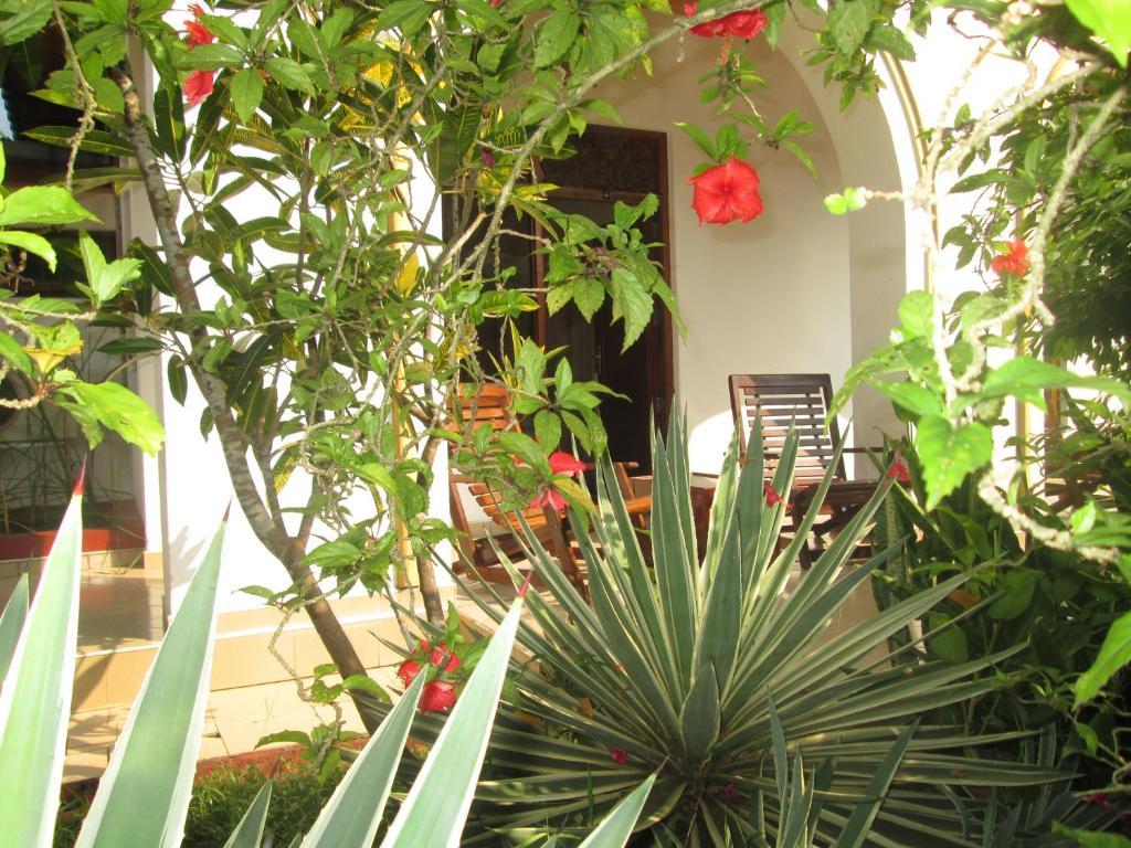 Tandem Guesthouse 히카두와 외부 사진